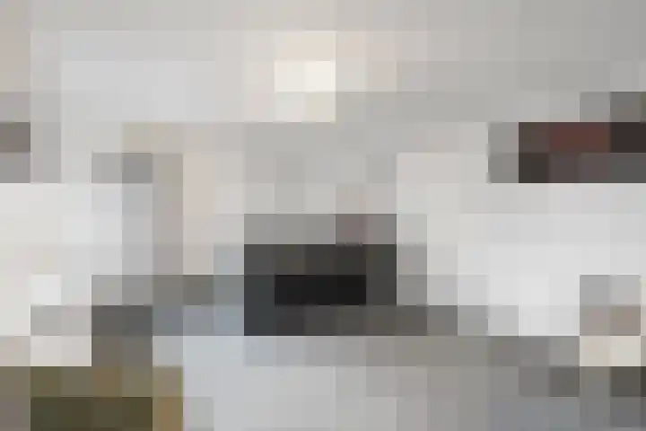 Pluto 31 Den Helder thumbnail 6