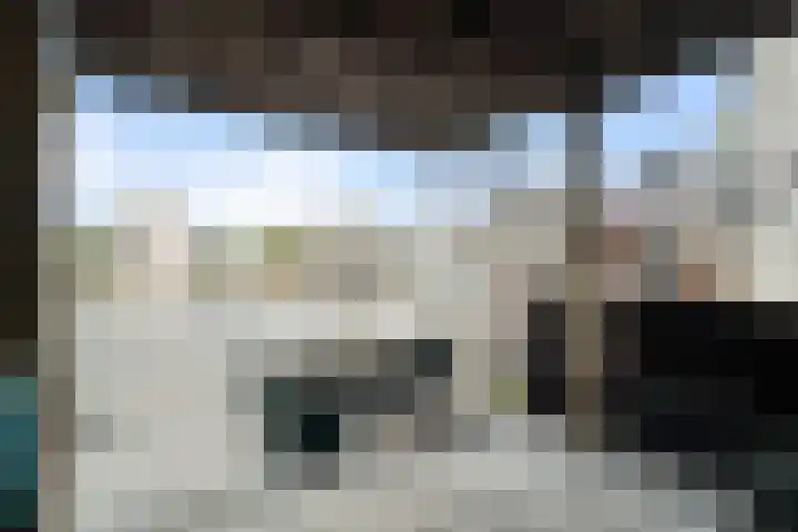 Pluto 31 Den Helder thumbnail 8