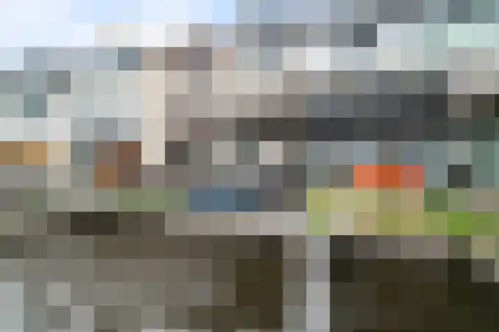 Pluto 31 Den Helder thumbnail 9