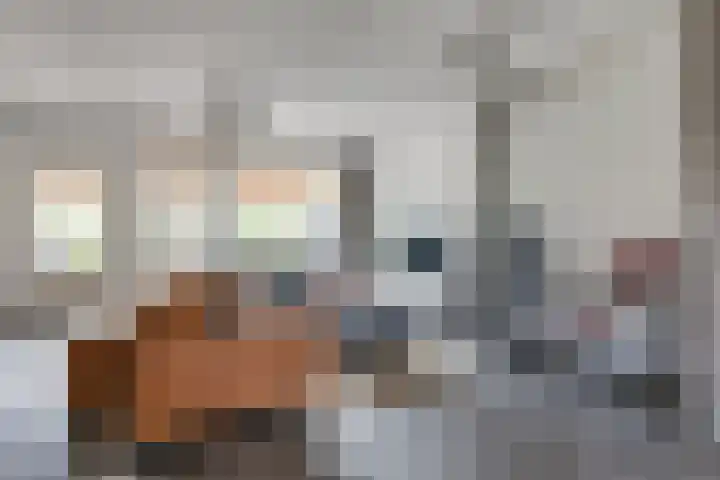 Pluto 7 Lichtenvoorde thumbnail 11