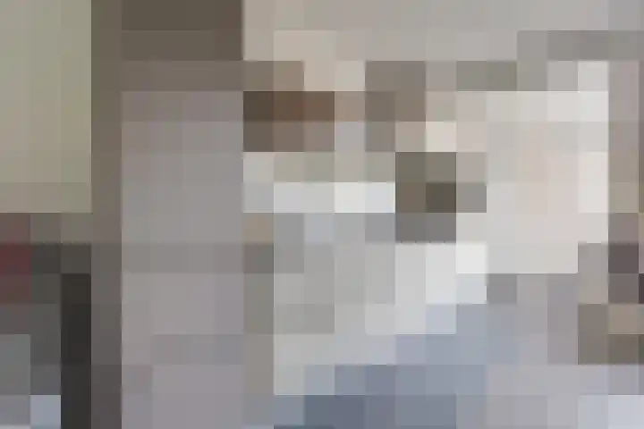 Pluto 7 Lichtenvoorde thumbnail 21