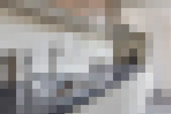 Pluto 7 Lichtenvoorde thumbnail 22