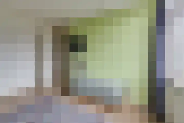 Pluto 7 Lichtenvoorde thumbnail 35