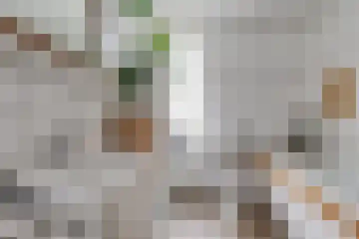 Pluto 7 Lichtenvoorde thumbnail 38