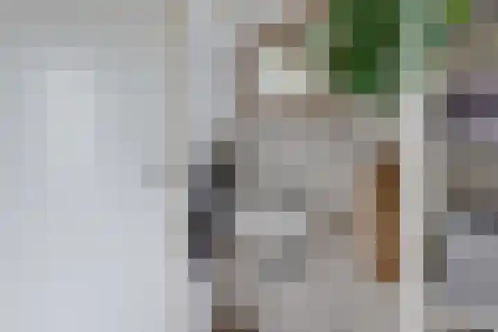Pluto 7 Lichtenvoorde thumbnail 39