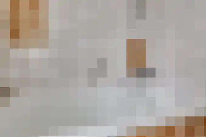 Pluto 7 Lichtenvoorde thumbnail 40