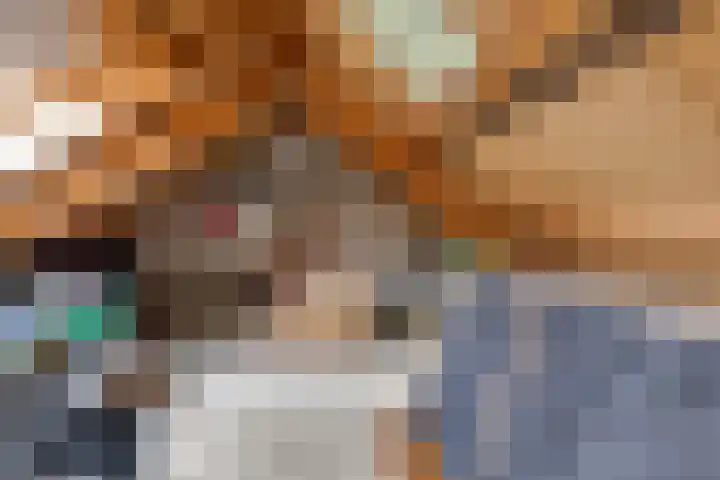 Pluto 7 Lichtenvoorde thumbnail 42