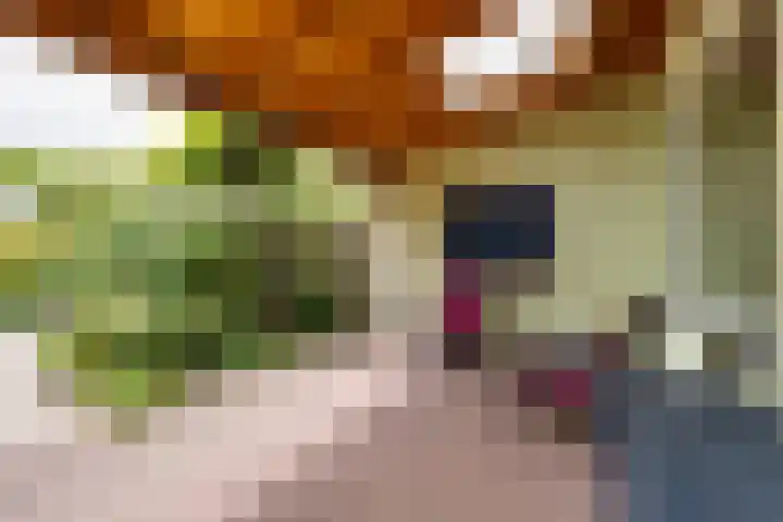 Pluto 7 Lichtenvoorde thumbnail 43
