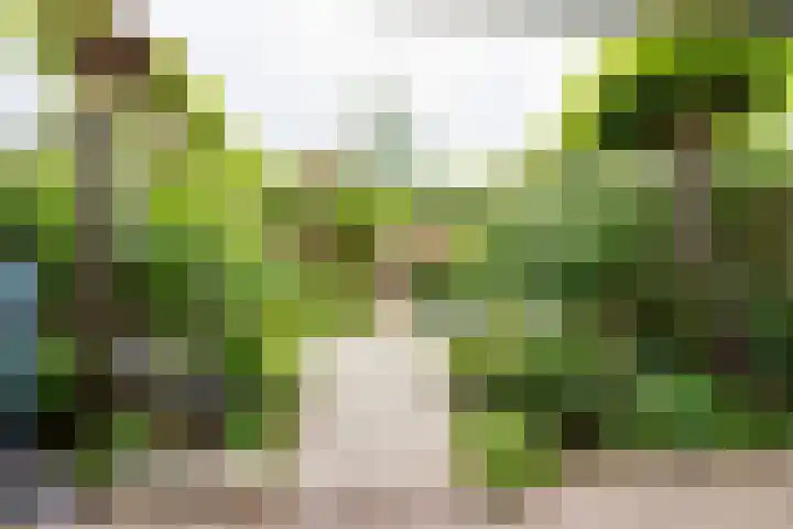 Pluto 7 Lichtenvoorde thumbnail 48