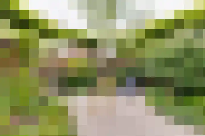 Pluto 7 Lichtenvoorde thumbnail 49