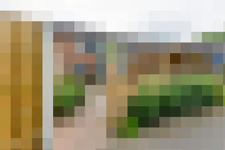 Pluto 7 Lichtenvoorde thumbnail 5