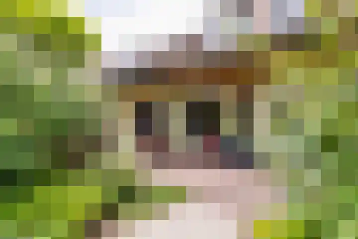 Pluto 7 Lichtenvoorde thumbnail 50