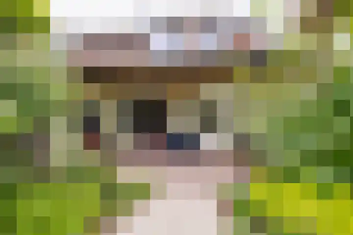 Pluto 7 Lichtenvoorde thumbnail 51
