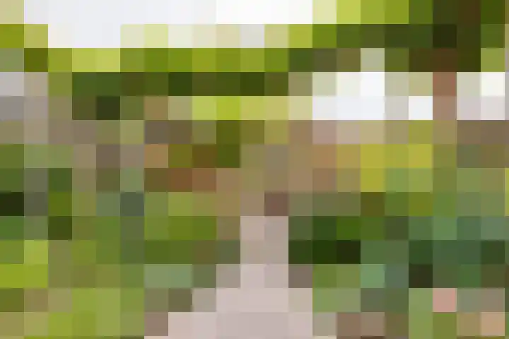 Pluto 7 Lichtenvoorde thumbnail 52