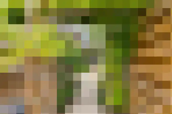 Pluto 7 Lichtenvoorde thumbnail 53