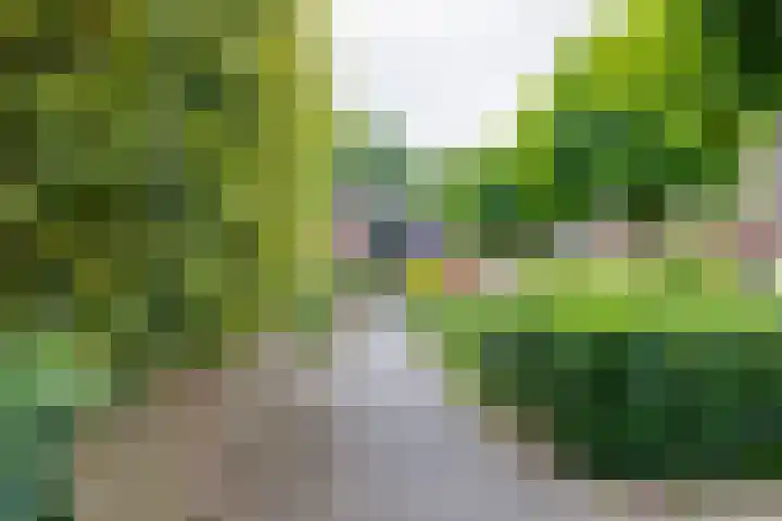 Pluto 7 Lichtenvoorde thumbnail 57