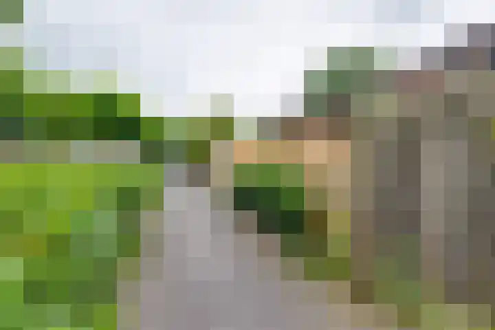 Pluto 7 Lichtenvoorde thumbnail 58