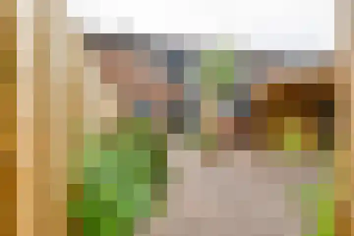 Pluto 7 Lichtenvoorde thumbnail 6