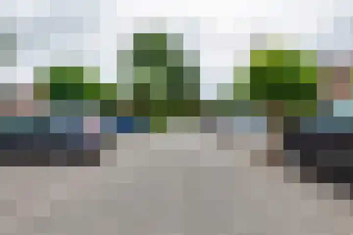 Pluto 7 Lichtenvoorde thumbnail 60