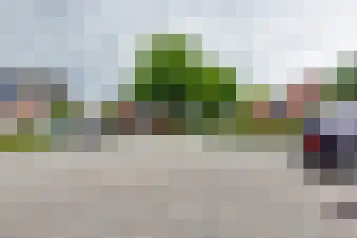Pluto 7 Lichtenvoorde thumbnail 61