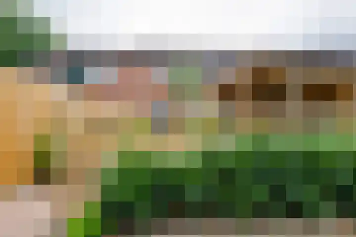 Pluto 7 Lichtenvoorde thumbnail 62