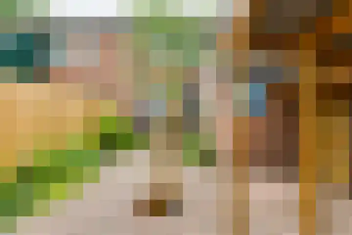 Pluto 7 Lichtenvoorde thumbnail 63