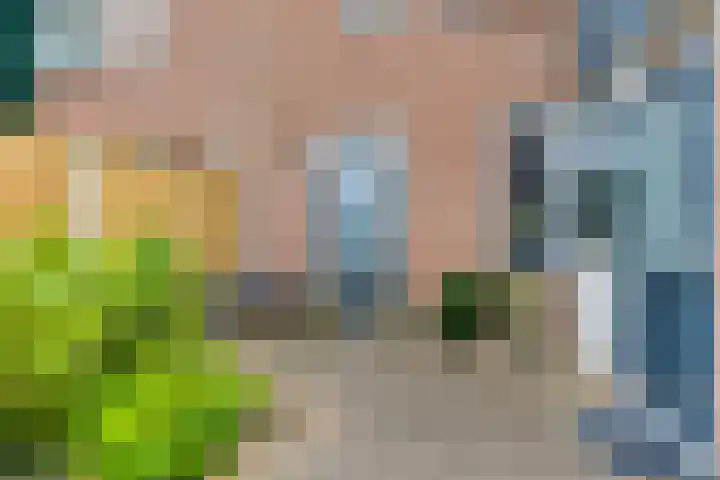 Pluto 7 Lichtenvoorde thumbnail 64