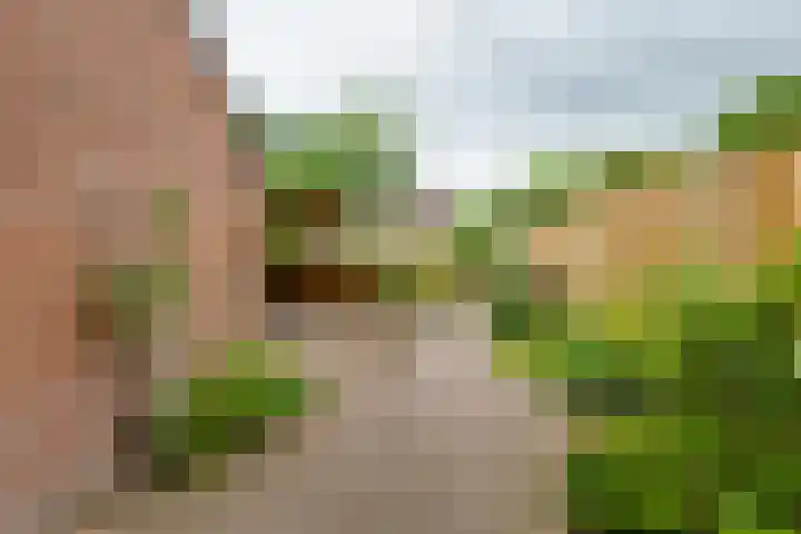 Pluto 7 Lichtenvoorde thumbnail 66