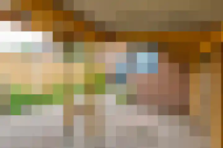 Pluto 7 Lichtenvoorde thumbnail 7