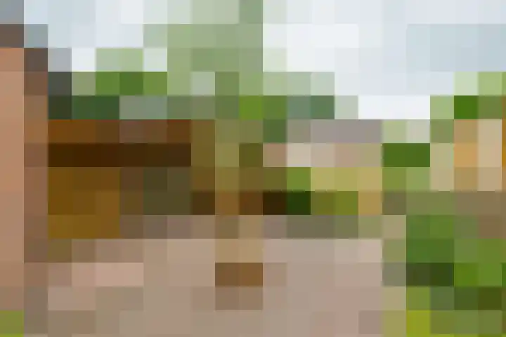 Pluto 7 Lichtenvoorde thumbnail 8