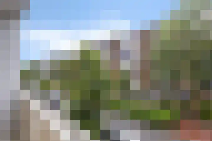 Plutolaan 12 Groningen thumbnail 24