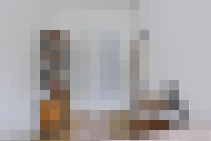 Plutolaan 12 Groningen thumbnail 29