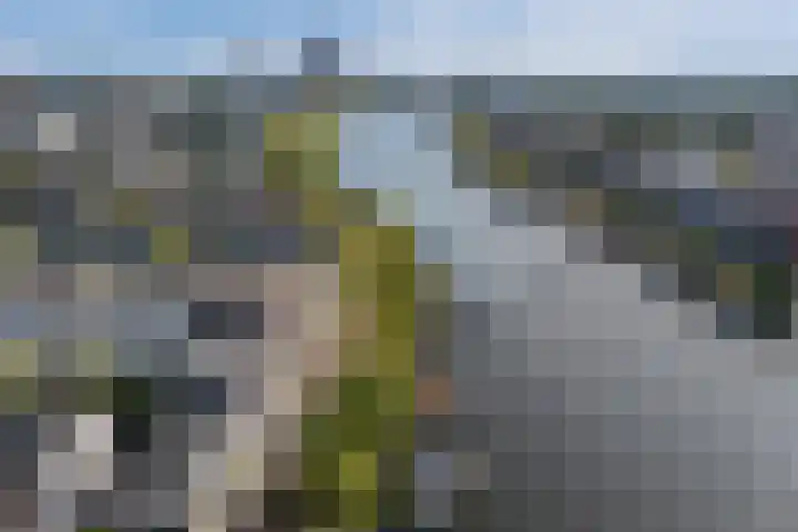 Plutolaan 525 Groningen thumbnail 7