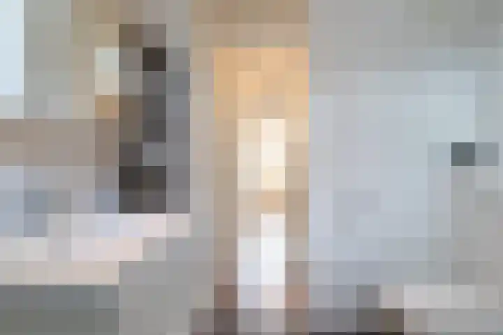 Plutostraat 31 Assen thumbnail 25