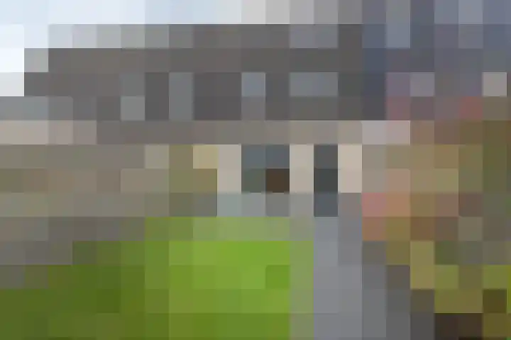 Plutostraat 31 Assen thumbnail 31