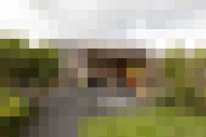 Plutostraat 31 Assen thumbnail 33