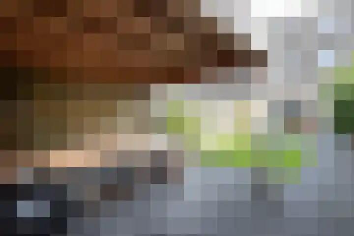 Plutostraat 31 Assen thumbnail 35