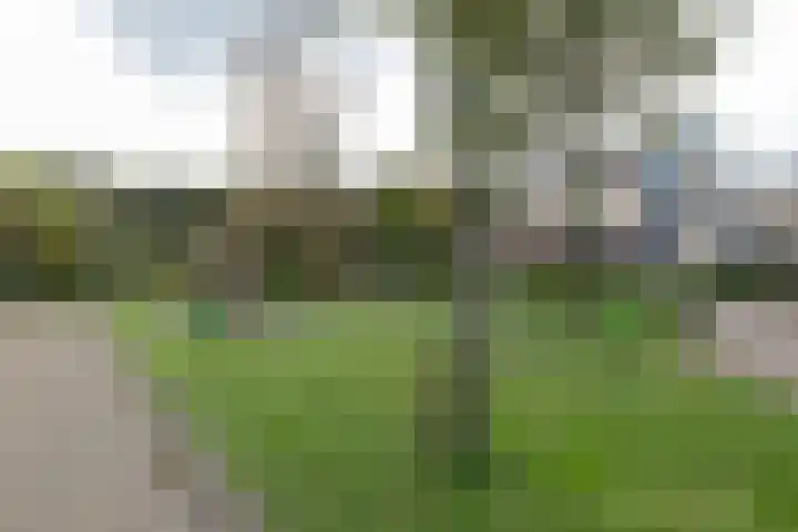 Plutostraat 31 Assen thumbnail 39