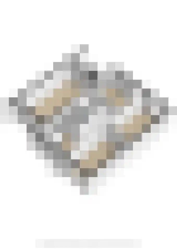 Pluuthaven 34 Zeewolde thumbnail 36