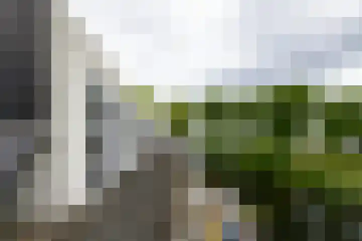Pluuthaven 64 Zeewolde thumbnail 35