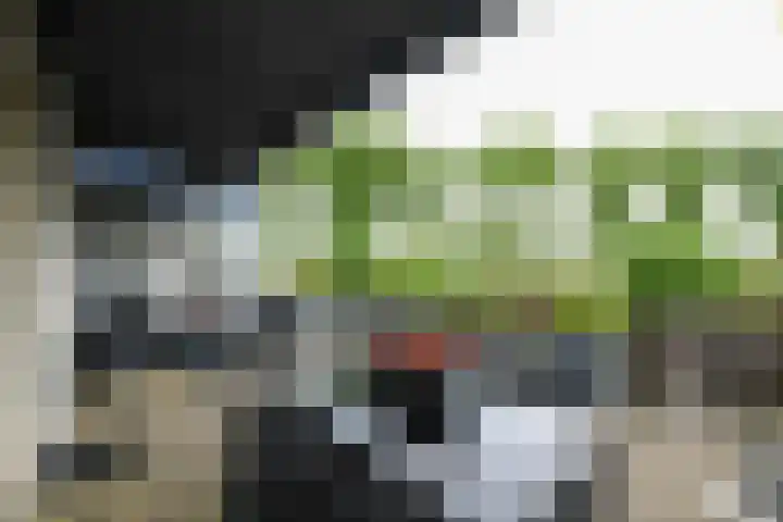 Pluuthaven 64 Zeewolde thumbnail 4