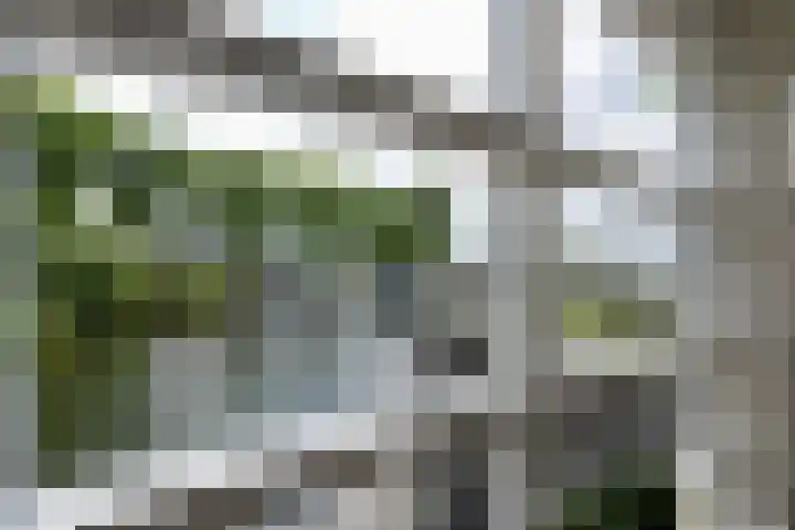 Pluuthaven 64 Zeewolde thumbnail 6