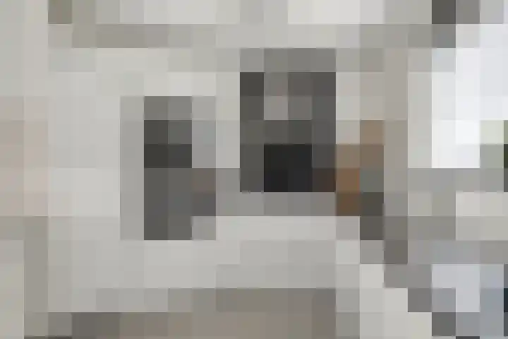 Pluuthaven 8 Zeewolde thumbnail 16