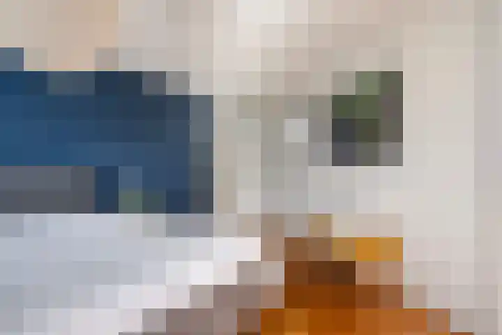 Pluuthaven 8 Zeewolde thumbnail 24