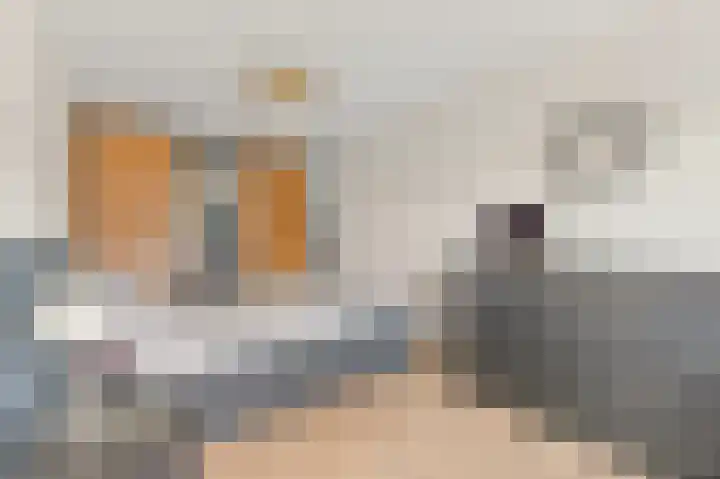 Pluuthaven 8 Zeewolde thumbnail 33