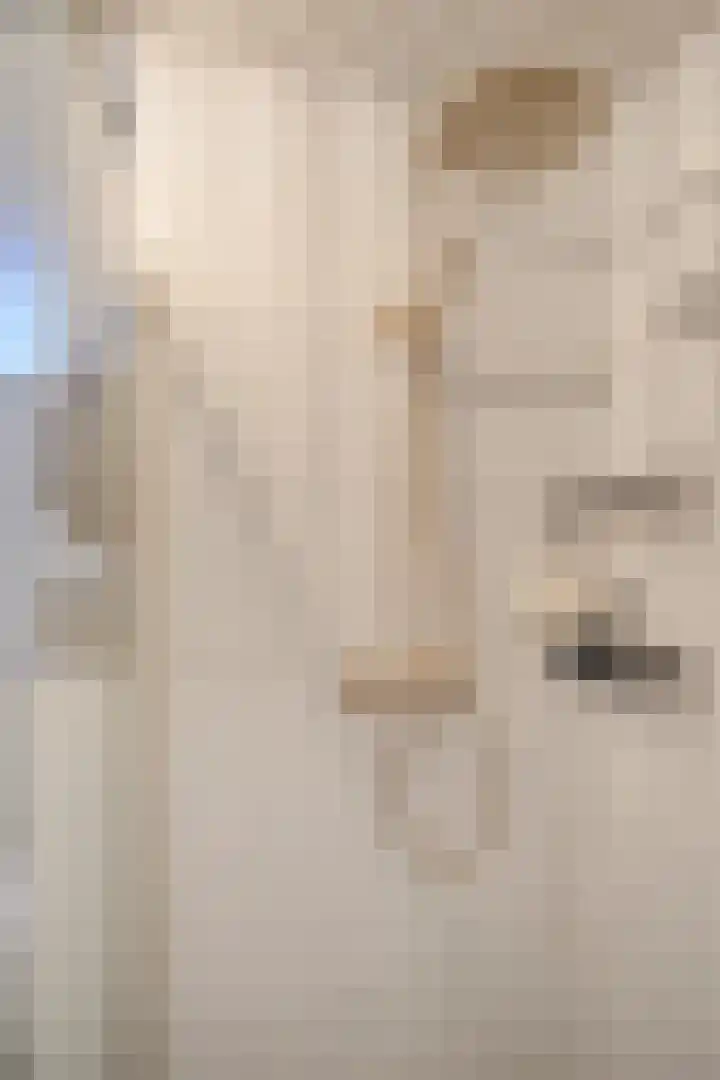 Pluuthaven 8 Zeewolde thumbnail 33