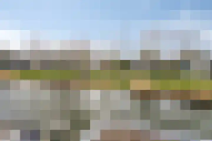 Pluuthaven 8 Zeewolde thumbnail 39