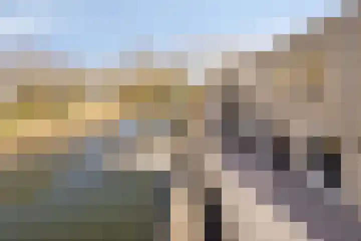 Pluuthaven 8 Zeewolde thumbnail 48