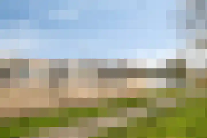 Pluuthaven 8 Zeewolde thumbnail 49