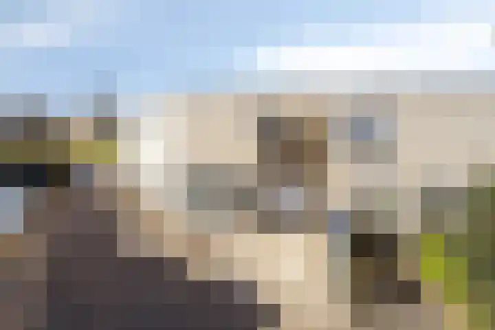 Pluuthaven 8 Zeewolde thumbnail 5